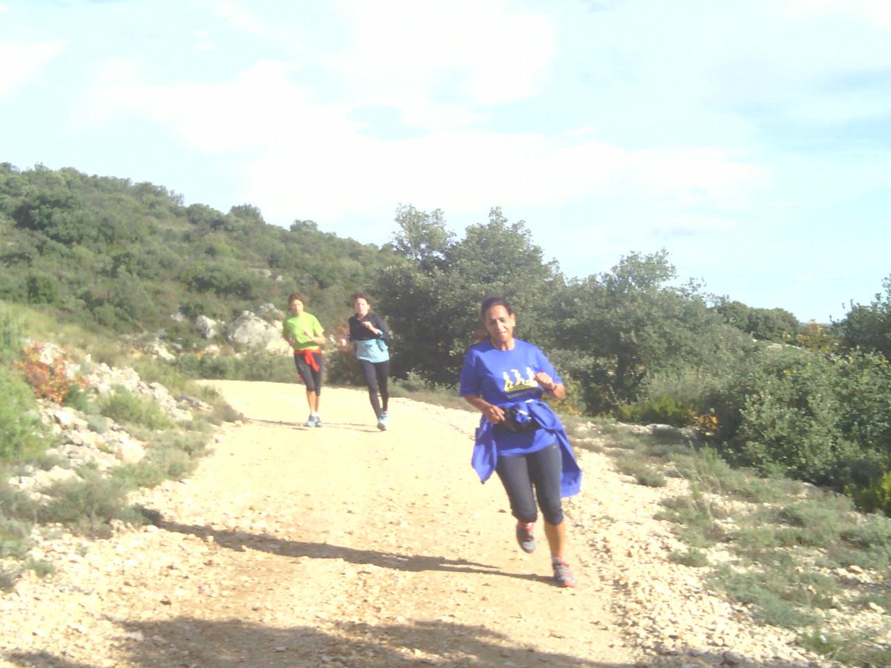 lavagnes 2014 nov (27)